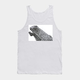 Kelpies prints , the Helix Falkirk canvas print Tank Top